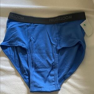 Fruit of the Loom Men's Blue Underwear